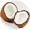 Circle Image of Coconut Cream