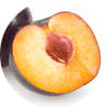 Circle Image of Wild Plum